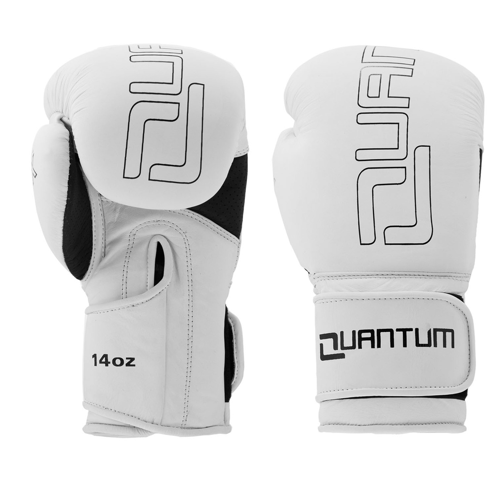 Quantum Boxhandschuhe Q1X Leder