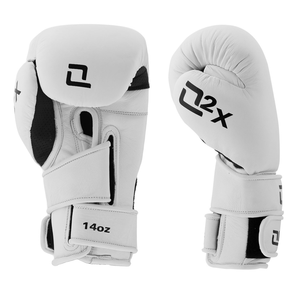 Quantum Boxhandschuhe Q2X Leder